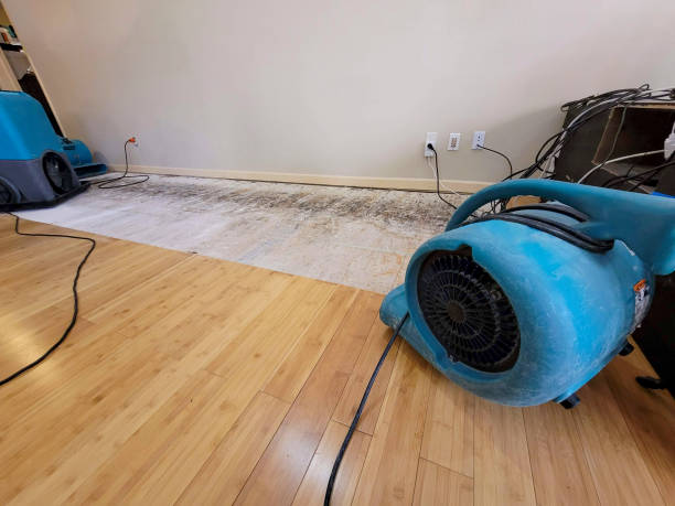 Professional Flood Damage Cleanup technician working in Sidney, MI